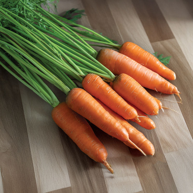 bunch or orange carrots with green tops on a butcher block countertop