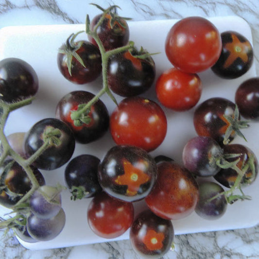 TOMATO - BLUE BERRIES