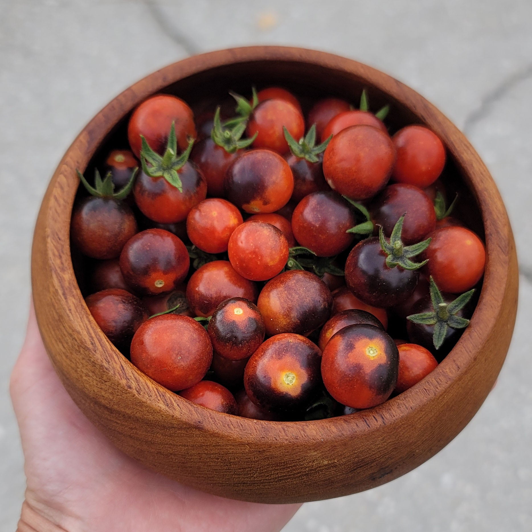 wood bowl filled with cherry tomatoes that are dark red and blue/purple