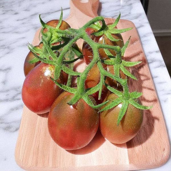 TOMATO - EVAN'S PURPLE PEAR